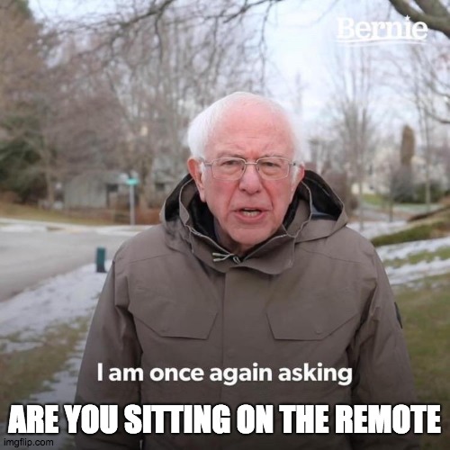 Im once again asking | ARE YOU SITTING ON THE REMOTE | image tagged in im once again asking | made w/ Imgflip meme maker