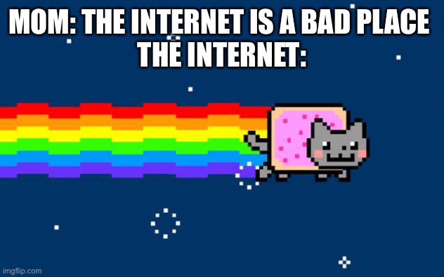 Daily relatable memes #13 | MOM: THE INTERNET IS A BAD PLACE 
THE INTERNET: | image tagged in nyan cat | made w/ Imgflip meme maker