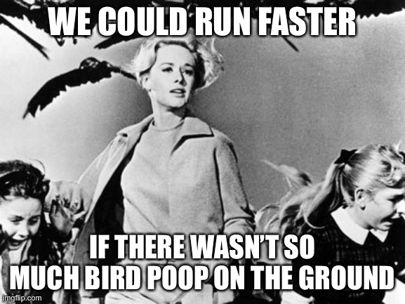 WE COULD RUN FASTER; IF THERE WASN’T SO MUCH BIRD POOP ON THE GROUND | image tagged in the birds,horror,shit,running | made w/ Imgflip meme maker