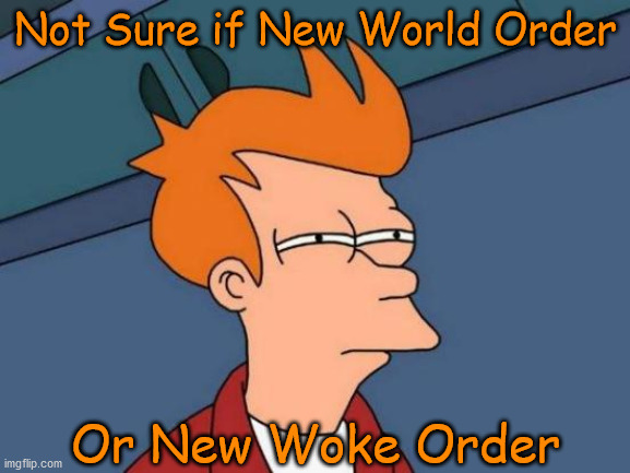 NWO | Not Sure if New World Order; Or New Woke Order | image tagged in political memes,futurama fry,nwo,new world order,woke,cultural marxism | made w/ Imgflip meme maker