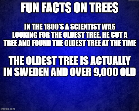 Chill times with fun facts | FUN FACTS ON TREES; IN THE 1800'S A SCIENTIST WAS LOOKING FOR THE OLDEST TREE. HE CUT A TREE AND FOUND THE OLDEST TREE AT THE TIME; THE OLDEST TREE IS ACTUALLY IN SWEDEN AND OVER 9,000 OLD | image tagged in blue background,fun fact | made w/ Imgflip meme maker