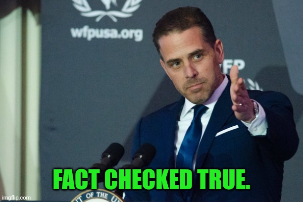 FACT CHECKED TRUE. | made w/ Imgflip meme maker