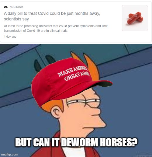 BUT CAN IT DEWORM HORSES? | image tagged in unsure fry | made w/ Imgflip meme maker