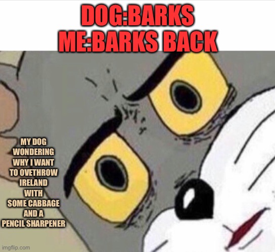 Disturbed Tom (IMPROVED) |  DOG:BARKS
ME:BARKS BACK; MY DOG WONDERING WHY I WANT TO OVETHROW IRELAND WITH SOME CABBAGE AND A PENCIL SHARPENER | image tagged in disturbed tom improved | made w/ Imgflip meme maker