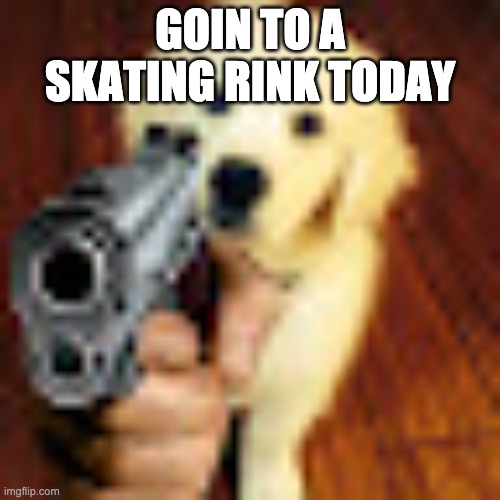 Dog gun | GOIN TO A SKATING RINK TODAY | image tagged in dog gun | made w/ Imgflip meme maker