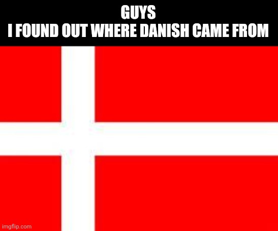 danish flag | GUYS
I FOUND OUT WHERE DANISH CAME FROM | image tagged in danish flag | made w/ Imgflip meme maker