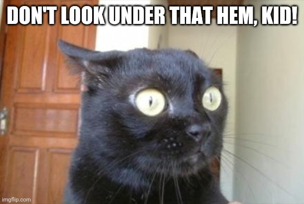 Cannot Be Unseen Cat | DON'T LOOK UNDER THAT HEM, KID! | image tagged in cannot be unseen cat | made w/ Imgflip meme maker