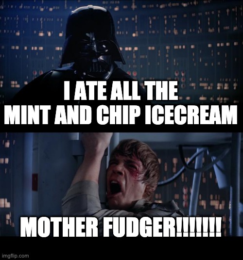 meme i guess | I ATE ALL THE MINT AND CHIP ICECREAM; MOTHER FUDGER!!!!!!! | image tagged in memes,star wars no | made w/ Imgflip meme maker