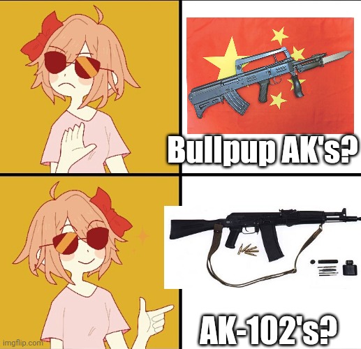 Trans drake | Bullpup AK's? AK-102's? | image tagged in trans drake | made w/ Imgflip meme maker