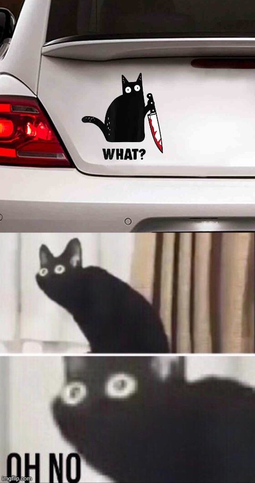Cat with knife | image tagged in oh no cat,dark humor,knife,memes,meme,cat | made w/ Imgflip meme maker
