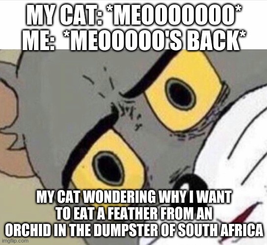 Disturbed Tom (IMPROVED) |  MY CAT: *MEOOOOOOO*
ME:  *MEOOOOO'S BACK*; MY CAT WONDERING WHY I WANT TO EAT A FEATHER FROM AN ORCHID IN THE DUMPSTER OF SOUTH AFRICA | image tagged in disturbed tom improved | made w/ Imgflip meme maker