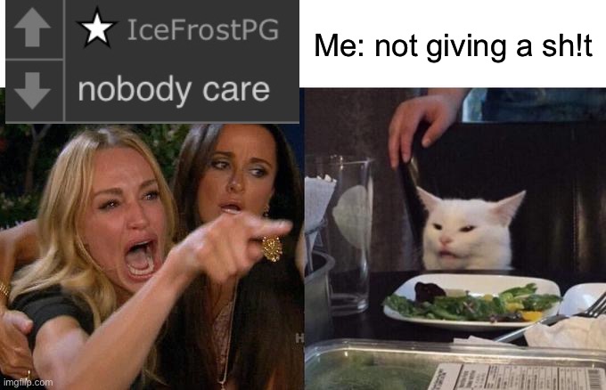 :) I don’t care about your opinion | Me: not giving a sh!t | image tagged in memes,woman yelling at cat | made w/ Imgflip meme maker