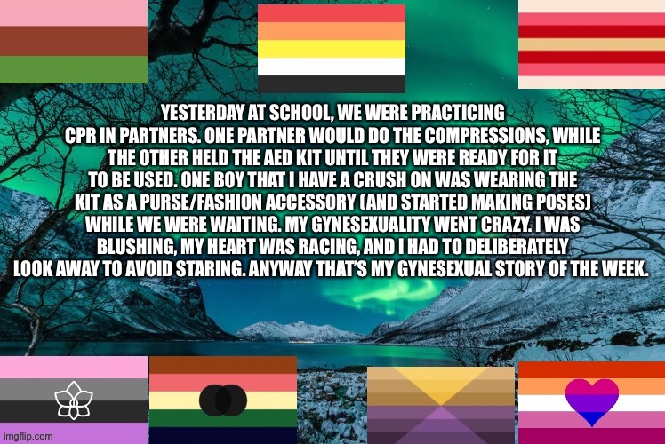 Haha Gynesexuality go brr | YESTERDAY AT SCHOOL, WE WERE PRACTICING CPR IN PARTNERS. ONE PARTNER WOULD DO THE COMPRESSIONS, WHILE THE OTHER HELD THE AED KIT UNTIL THEY WERE READY FOR IT TO BE USED. ONE BOY THAT I HAVE A CRUSH ON WAS WEARING THE KIT AS A PURSE/FASHION ACCESSORY (AND STARTED MAKING POSES) WHILE WE WERE WAITING. MY GYNESEXUALITY WENT CRAZY. I WAS BLUSHING, MY HEART WAS RACING, AND I HAD TO DELIBERATELY LOOK AWAY TO AVOID STARING. ANYWAY THAT’S MY GYNESEXUAL STORY OF THE WEEK. | image tagged in new template | made w/ Imgflip meme maker