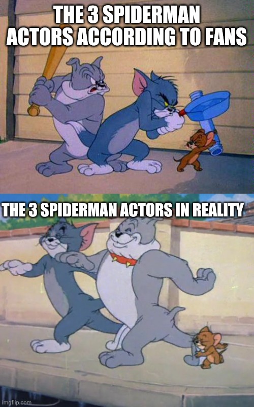 Seriously stop pitting them against each other | THE 3 SPIDERMAN ACTORS ACCORDING TO FANS; THE 3 SPIDERMAN ACTORS IN REALITY | image tagged in tom and jerry and spike,spiderman,fighting | made w/ Imgflip meme maker