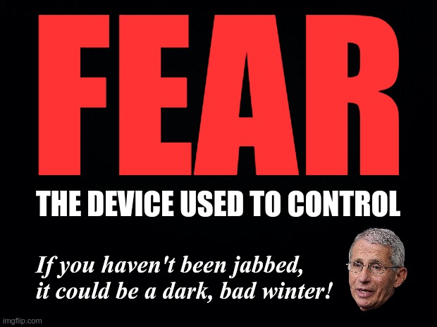 FAUCI FEAR | FEAR; THE DEVICE USED TO CONTROL; If you haven't been jabbed, it could be a dark, bad winter! | image tagged in dr fauci,fear,vaccines,covid-19,false flag | made w/ Imgflip meme maker