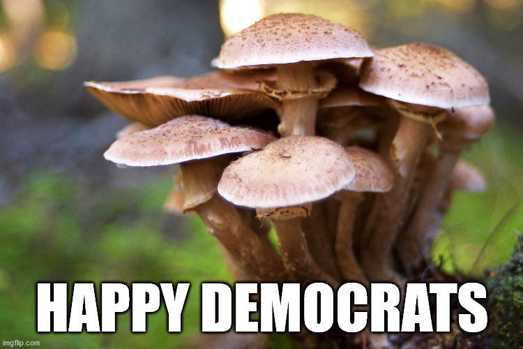 Democrats | HAPPY DEMOCRATS | image tagged in democrats,mushrooms,happy democrats | made w/ Imgflip meme maker