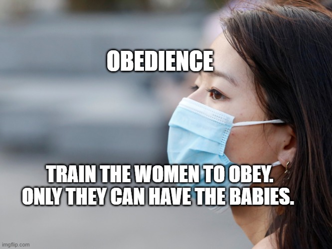 SELF TORTURE DEVICE | OBEDIENCE; TRAIN THE WOMEN TO OBEY. ONLY THEY CAN HAVE THE BABIES. | image tagged in self torture device | made w/ Imgflip meme maker