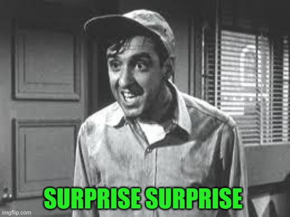 Gomer Pyle | SURPRISE SURPRISE | image tagged in gomer pyle | made w/ Imgflip meme maker