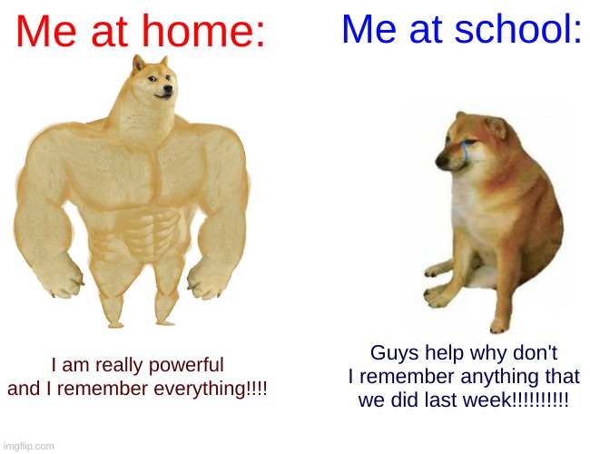 Buff Doge vs. Cheems | Me at home:; Me at school:; I am really powerful and I remember everything!!!! Guys help why don't I remember anything that we did last week!!!!!!!!!! | image tagged in memes,buff doge vs cheems | made w/ Imgflip meme maker