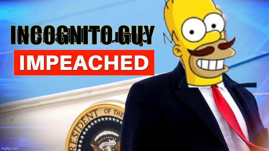 I definitely didn’t vote for this! | INCOGNITO GUY | made w/ Imgflip meme maker