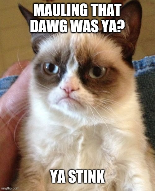 Grumpy Cat | MAULING THAT DAWG WAS YA? YA STINK | image tagged in memes,grumpy cat | made w/ Imgflip meme maker