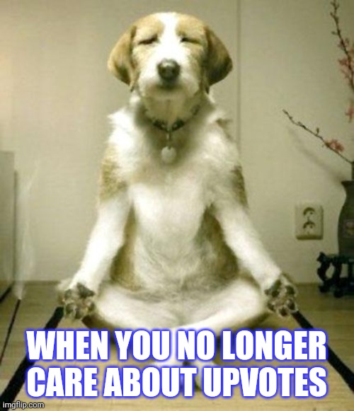 Inner Peace Dog | WHEN YOU NO LONGER CARE ABOUT UPVOTES | image tagged in inner peace dog | made w/ Imgflip meme maker