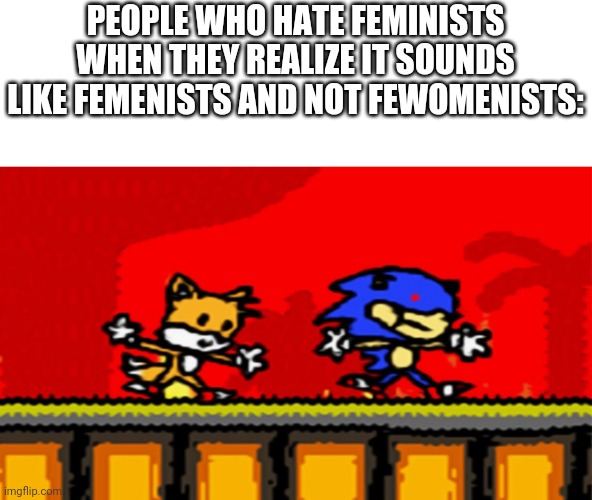 Sunky | PEOPLE WHO HATE FEMINISTS WHEN THEY REALIZE IT SOUNDS LIKE FEMENISTS AND NOT FEWOMENISTS: | image tagged in suunky s dance | made w/ Imgflip meme maker