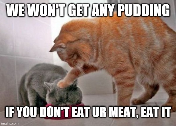Force feed cat | WE WON'T GET ANY PUDDING; IF YOU DON'T EAT UR MEAT, EAT IT | image tagged in force feed cat | made w/ Imgflip meme maker