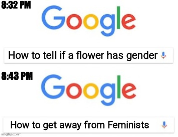 No title for today | How to tell if a flower has gender; How to get away from Feminists | image tagged in 8 32 pm - 8 43 pm | made w/ Imgflip meme maker