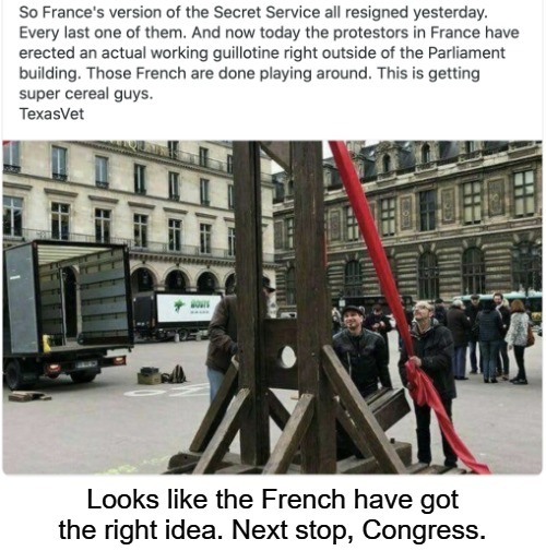 Sic semper tyrannis! | image tagged in french,guillotine,off with their heads,congress,lockdown protests,sic semper tyrannis | made w/ Imgflip meme maker