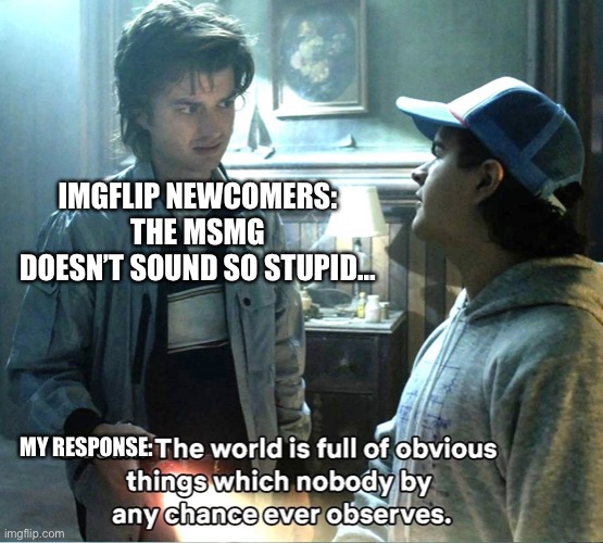 Advice: Good luck surviving the MSMG without getting into trouble. | IMGFLIP NEWCOMERS: THE MSMG DOESN’T SOUND SO STUPID…; MY RESPONSE: | image tagged in stranger things,netflix,imgflip,imgflip users,2022 | made w/ Imgflip meme maker