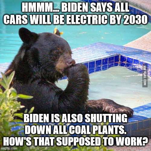 It doesn't take a brain surgeon to figure out what happens to electric cars after we shut down a major source of electricity. | HMMM... BIDEN SAYS ALL CARS WILL BE ELECTRIC BY 2030; BIDEN IS ALSO SHUTTING DOWN ALL COAL PLANTS.
HOW'S THAT SUPPOSED TO WORK? | image tagged in ponder bear,dementia joe has gotta go,electric cars,without electricity | made w/ Imgflip meme maker