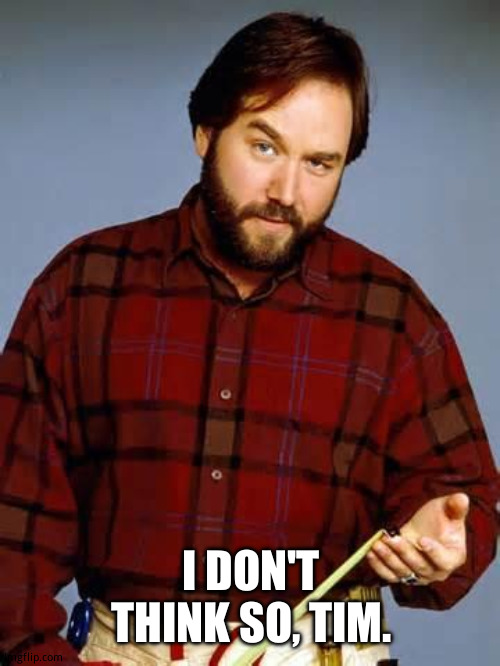 Disbelief Al Borland | I DON'T THINK SO, TIM. | image tagged in disbelief al borland | made w/ Imgflip meme maker
