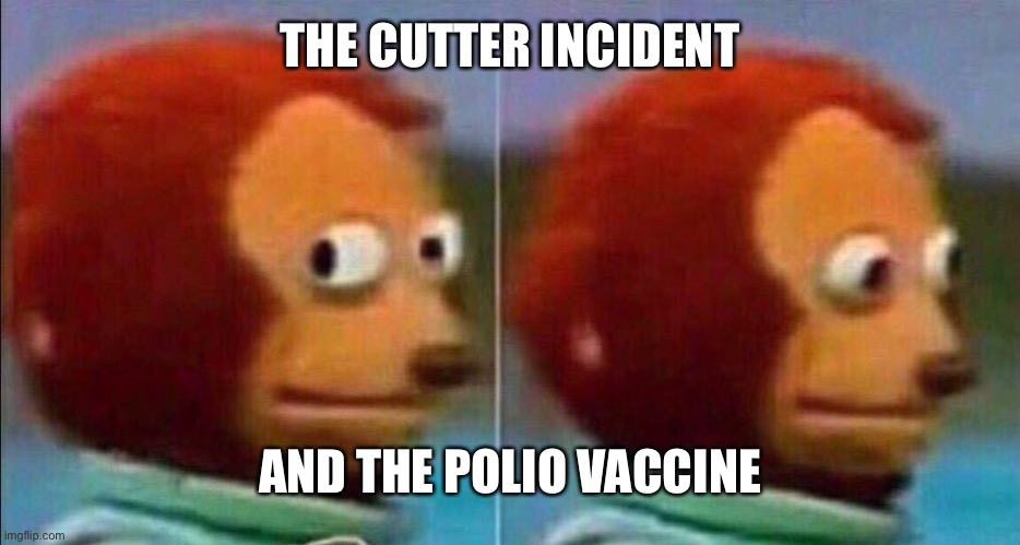 Monkey looking away | THE CUTTER INCIDENT AND THE POLIO VACCINE | image tagged in monkey looking away | made w/ Imgflip meme maker