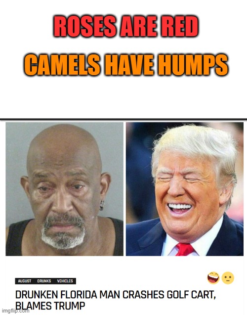  ROSES ARE RED; CAMELS HAVE HUMPS | image tagged in memes,funny,florida man,trump,drunk,oh wow are you actually reading these tags | made w/ Imgflip meme maker