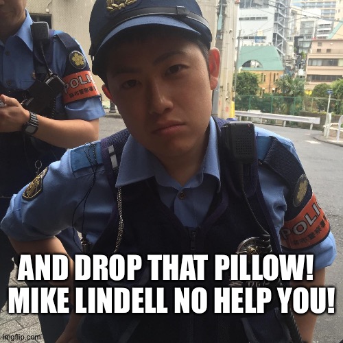 Roppongi Tokyo Japan angry police officer or cop | AND DROP THAT PILLOW!  
MIKE LINDELL NO HELP YOU! | image tagged in roppongi tokyo japan angry police officer or cop | made w/ Imgflip meme maker