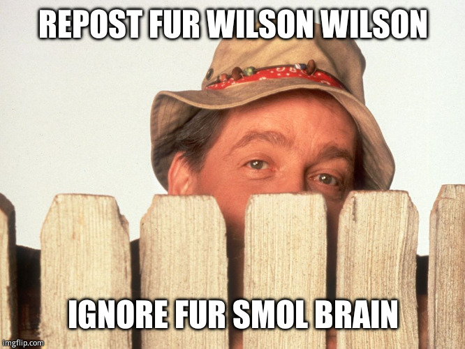 Wilson Home Improvement | REPOST FUR WILSON WILSON; IGNORE FUR SMOL BRAIN | image tagged in wilson home improvement | made w/ Imgflip meme maker