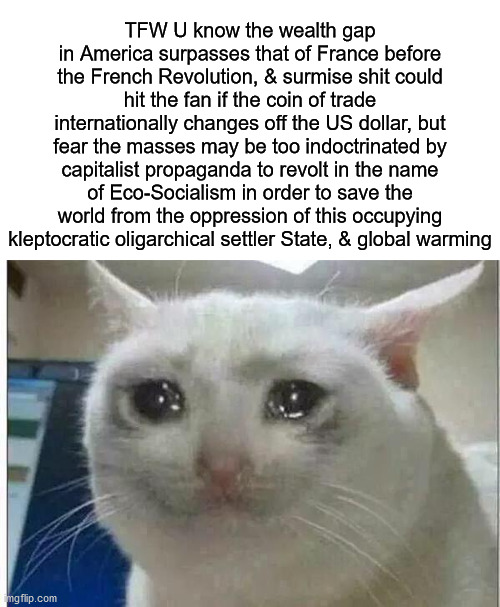 The US is a Kleptocratic Oligarchical Settler State | TFW U know the wealth gap in America surpasses that of France before the French Revolution, & surmise shit could hit the fan if the coin of trade internationally changes off the US dollar, but fear the masses may be too indoctrinated by capitalist propaganda to revolt in the name of Eco-Socialism in order to save the world from the oppression of this occupying kleptocratic oligarchical settler State, & global warming | image tagged in crying cat,capitalism,socialism,global warming | made w/ Imgflip meme maker