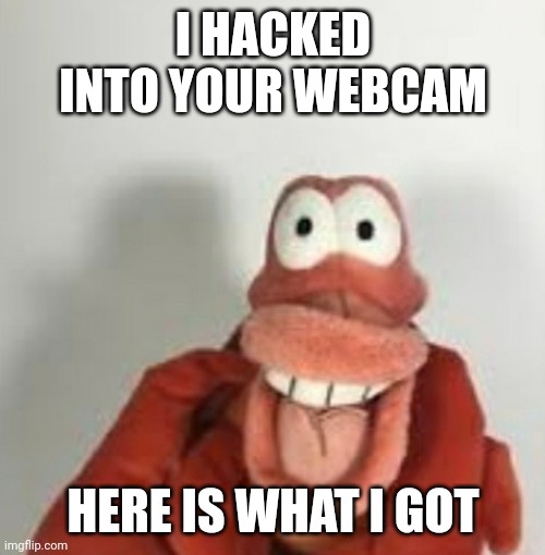 he shidded | I HACKED INTO YOUR WEBCAM HERE IS WHAT I GOT | image tagged in he shidded | made w/ Imgflip meme maker