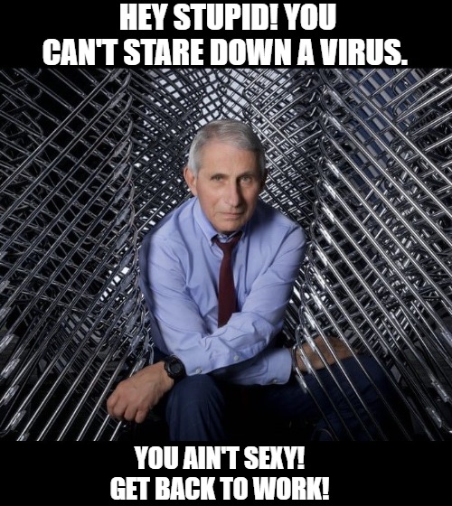 Fauci- Ain't No Fabio! | HEY STUPID! YOU CAN'T STARE DOWN A VIRUS. YOU AIN'T SEXY! GET BACK TO WORK! | image tagged in dr fauci,corona virus,covid,fauci | made w/ Imgflip meme maker