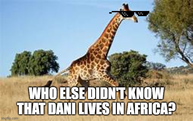 Dani Please Notice This | WHO ELSE DIDN'T KNOW THAT DANI LIVES IN AFRICA? | image tagged in dani,long,funny,youtuber,youtube ads,giraffe | made w/ Imgflip meme maker