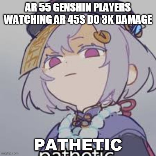 Genshin community in a nutshell | AR 55 GENSHIN PLAYERS WATCHING AR 45S DO 3K DAMAGE; PATHETIC | image tagged in idk | made w/ Imgflip meme maker