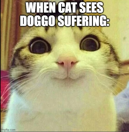 devil cat | WHEN CAT SEES DOGGO SUFERING: | image tagged in cat | made w/ Imgflip meme maker