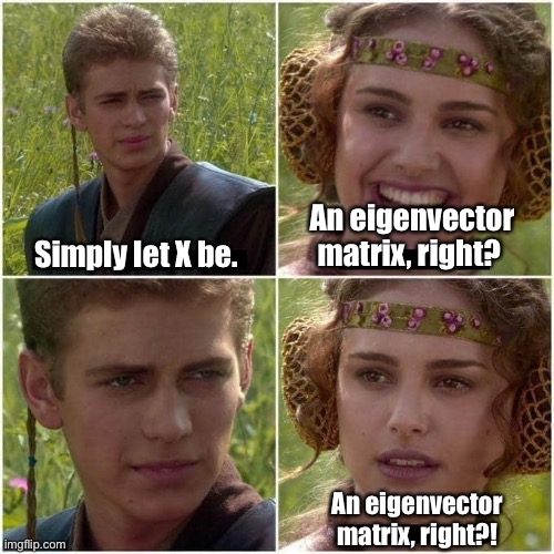 Anakin and Padme | Simply let X be. An eigenvector matrix, right? An eigenvector matrix, right?! | image tagged in anakin and padme | made w/ Imgflip meme maker