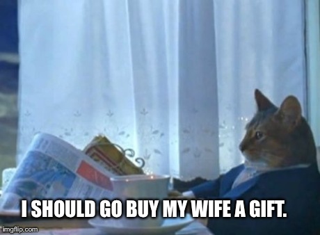 I Should Buy A Boat Cat Meme | I SHOULD GO BUY MY WIFE A GIFT. | image tagged in memes,i should buy a boat cat,AdviceAnimals | made w/ Imgflip meme maker