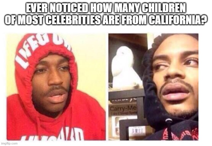 Most children of most celebrities are from California |  EVER NOTICED HOW MANY CHILDREN OF MOST CELEBRITIES ARE FROM CALIFORNIA? | image tagged in hits blunt,celebrities,children | made w/ Imgflip meme maker