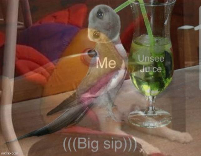 Unsee juice cat | image tagged in unsee juice,cat,sad cat,cat meme | made w/ Imgflip meme maker