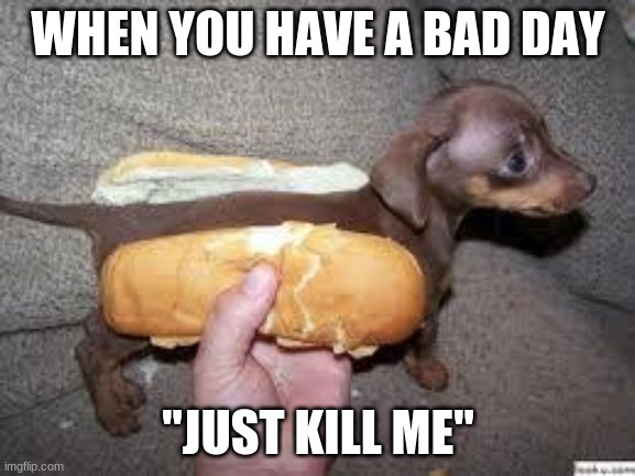 miserable weiner | WHEN YOU HAVE A BAD DAY; "JUST KILL ME" | image tagged in death,end my suffering,funny dogs,hot dog | made w/ Imgflip meme maker