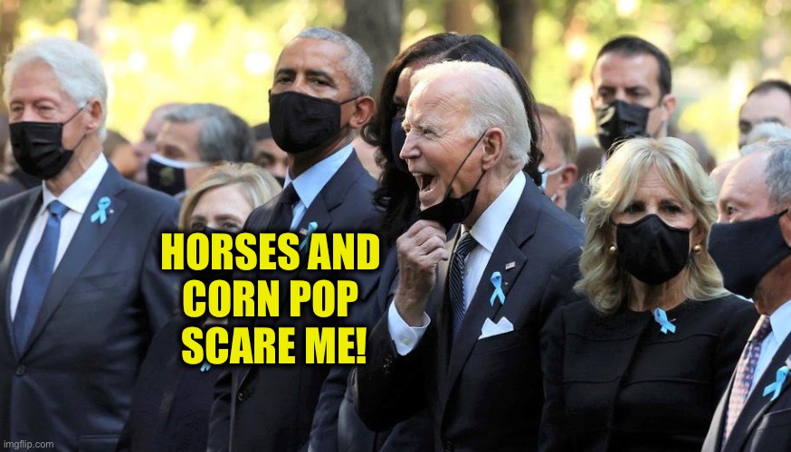 Rogues Gallery | HORSES AND 
CORN POP 
SCARE ME! | image tagged in rogues gallery | made w/ Imgflip meme maker