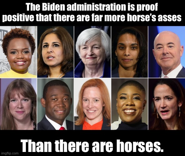 Horse’s behinds | The Biden administration is proof positive that there are far more horse’s asses; Than there are horses. | image tagged in joe biden | made w/ Imgflip meme maker